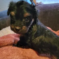 processed/777974d7-4480-4c0a-bbb9-260ea622124e/listing/644e851d-9b43-4f6a-8d39-2c5ae3b14b04/bc0f37e0-712c-45be-b607-f88a8bcc867a