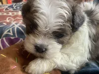 processed/777974d7-4480-4c0a-bbb9-260ea622124e/listing/888706b5-df0b-40ad-8f52-57e1cd61143b/0a960a9b-d941-467d-a740-2cba4aebe944