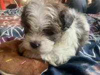 processed/777974d7-4480-4c0a-bbb9-260ea622124e/listing/888706b5-df0b-40ad-8f52-57e1cd61143b/43d7a5b9-0f16-4fe2-bbe4-815ddac443f9