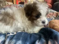 processed/777974d7-4480-4c0a-bbb9-260ea622124e/listing/888706b5-df0b-40ad-8f52-57e1cd61143b/54b4cee9-ce13-4362-aabd-d6244f2bfe35