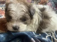 processed/777974d7-4480-4c0a-bbb9-260ea622124e/listing/888706b5-df0b-40ad-8f52-57e1cd61143b/669c09ad-1b77-4465-a18e-8705202ea921