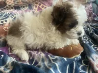 processed/777974d7-4480-4c0a-bbb9-260ea622124e/listing/888706b5-df0b-40ad-8f52-57e1cd61143b/c85c948d-21b5-4baf-b6b8-cd740be9992a