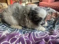 processed/777974d7-4480-4c0a-bbb9-260ea622124e/listing/cae63e25-4bc4-42e5-8f1f-45393af426db/066e07b1-a115-4494-941f-2d2cf1b1138d