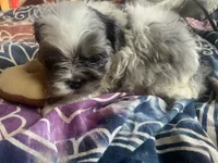 processed/777974d7-4480-4c0a-bbb9-260ea622124e/listing/cae63e25-4bc4-42e5-8f1f-45393af426db/502d49e0-ca9e-4108-9ff9-4dbc6cc49d34