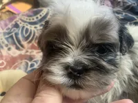 processed/777974d7-4480-4c0a-bbb9-260ea622124e/listing/cae63e25-4bc4-42e5-8f1f-45393af426db/948facb7-4a68-491a-a966-361937d389cd