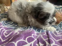 processed/777974d7-4480-4c0a-bbb9-260ea622124e/listing/cae63e25-4bc4-42e5-8f1f-45393af426db/cde3bc1f-6e95-4681-a68e-ff815046b6e8