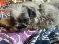 processed/777974d7-4480-4c0a-bbb9-260ea622124e/listing/cae63e25-4bc4-42e5-8f1f-45393af426db/d339ca36-e3e8-431f-b666-352bdd8b1d82