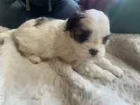 processed/777974d7-4480-4c0a-bbb9-260ea622124e/listing/d0a8f6f2-290e-4525-8833-40ccc6e0f355/568f6e83-8077-4635-b596-435ea27b05d9