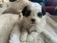 processed/777974d7-4480-4c0a-bbb9-260ea622124e/listing/d0a8f6f2-290e-4525-8833-40ccc6e0f355/a85e598c-55e0-4a71-abee-ca3f9574113b