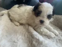 processed/777974d7-4480-4c0a-bbb9-260ea622124e/listing/d0a8f6f2-290e-4525-8833-40ccc6e0f355/d74ff2c3-82af-477e-b03e-a8d588134ff6