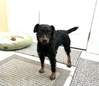 processed/77925e7f-ee32-4bea-bf89-c94d2e96ffcf/listing/33a607d6-5103-4905-92b9-602155b57860/12d9f120-6358-403b-af87-39d181a76df6