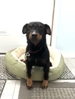 processed/77925e7f-ee32-4bea-bf89-c94d2e96ffcf/listing/33a607d6-5103-4905-92b9-602155b57860/305ba441-f9a1-4f59-b82c-0e9aee35c883