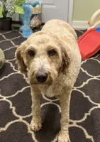 processed/77925e7f-ee32-4bea-bf89-c94d2e96ffcf/listing/c35d6492-74bf-47b0-93d1-4946a5acb130/9c9ffb67-d131-4ecb-b79e-f34d32019fd4