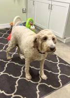 processed/77925e7f-ee32-4bea-bf89-c94d2e96ffcf/listing/c35d6492-74bf-47b0-93d1-4946a5acb130/b08398d7-9ad5-4768-9447-8a8dbef73305