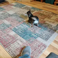 Robin Hood , a female Chihuahua for sale in Carlsbad, NM – Photo 8 of 9