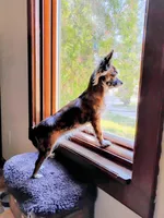 processed/779c0d11-e4ed-4346-95e3-53f881df1fec/listing/7c803e44-e67e-4219-9991-5dea04ffae28/c9a6fedc-1621-4c06-a569-a3ccc5abdee3