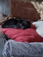 processed/779c0d11-e4ed-4346-95e3-53f881df1fec/listing/c80821c4-92b3-43ac-828b-950fc3e492ee/a1158232-a2ac-4519-9c60-d61394a2547b