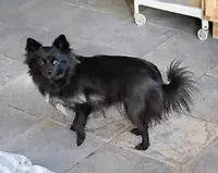 processed/779c0d11-e4ed-4346-95e3-53f881df1fec/listing/c80821c4-92b3-43ac-828b-950fc3e492ee/aed3eb3f-0dab-4b57-8694-7f348fc9a9a8