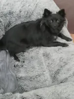 processed/779c0d11-e4ed-4346-95e3-53f881df1fec/listing/c80821c4-92b3-43ac-828b-950fc3e492ee/fe33a3c9-55b6-4925-b88d-c4851891a977