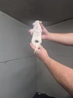 processed/779c582a-3fd3-433c-9773-a7df546de248/listing/1072d800-f329-411e-8701-dcdfc2bfbe88/45fc23b3-57af-4197-947f-a93699ebab71