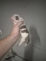 processed/779c582a-3fd3-433c-9773-a7df546de248/listing/14d247ce-db77-42dc-8ab8-55e3d1684936/a22a5c4e-c689-4116-b982-941d9fa4239d