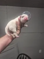 processed/779c582a-3fd3-433c-9773-a7df546de248/listing/5917fc9b-033f-4f2e-a4cd-a610923d1610/534d512c-111e-4aa0-8baa-a7ed7e6ccd5a