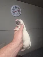 processed/779c582a-3fd3-433c-9773-a7df546de248/listing/5917fc9b-033f-4f2e-a4cd-a610923d1610/d750ef21-1af7-4f4e-9bee-cbc8453a121e