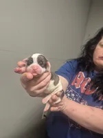 processed/779c582a-3fd3-433c-9773-a7df546de248/listing/5ec69f4b-6aa4-42be-8755-e4dec4dc9863/2801f1c4-1b21-4fc5-9d95-078a3bb1e8cd