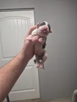 processed/779c582a-3fd3-433c-9773-a7df546de248/listing/5ec69f4b-6aa4-42be-8755-e4dec4dc9863/cbc60dfa-f248-452f-a602-0af5671a337d