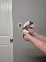 processed/779c582a-3fd3-433c-9773-a7df546de248/listing/5ec69f4b-6aa4-42be-8755-e4dec4dc9863/f32857f5-8544-42c5-9b33-4a93b41e56a9