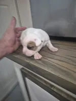 processed/779c582a-3fd3-433c-9773-a7df546de248/listing/61267867-3e6d-444a-9f8a-44cf1de2a38e/14735db6-9fc5-45cb-8a0f-b951049460b7