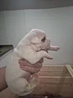 processed/779c582a-3fd3-433c-9773-a7df546de248/listing/61267867-3e6d-444a-9f8a-44cf1de2a38e/3cdee5aa-bdf4-414f-8fb5-b922222186e3