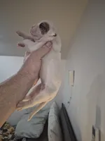 processed/779c582a-3fd3-433c-9773-a7df546de248/listing/61267867-3e6d-444a-9f8a-44cf1de2a38e/6a7670a8-1309-4a9a-947e-b9d3eb976fdd