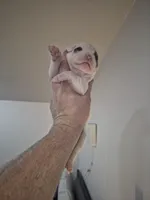 processed/779c582a-3fd3-433c-9773-a7df546de248/listing/61267867-3e6d-444a-9f8a-44cf1de2a38e/cc06f3da-c591-49ab-a21b-08dbd226a98d