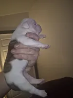 processed/779c582a-3fd3-433c-9773-a7df546de248/listing/80f44a00-8da7-4b8a-91d8-f769f35fcb3a/7f4cdd9e-aaa8-41d6-9c54-b23b75598e87