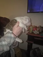 processed/779c582a-3fd3-433c-9773-a7df546de248/listing/80f44a00-8da7-4b8a-91d8-f769f35fcb3a/bdeae301-f79a-4998-b1a3-b6683095f532