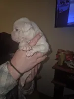 processed/779c582a-3fd3-433c-9773-a7df546de248/listing/80f44a00-8da7-4b8a-91d8-f769f35fcb3a/e2d11870-2e44-4ec4-ba63-a61469b13c24