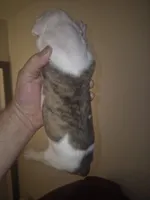 processed/779c582a-3fd3-433c-9773-a7df546de248/listing/80f44a00-8da7-4b8a-91d8-f769f35fcb3a/ed95d195-2250-4d21-a4c9-b996295bb24c