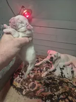 processed/779c582a-3fd3-433c-9773-a7df546de248/listing/91f73bf9-a668-45d4-939d-9c720458cff4/e6d502ba-7886-4743-aba1-e0bf1bcc2f3d