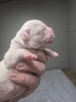 processed/779c582a-3fd3-433c-9773-a7df546de248/listing/91f73bf9-a668-45d4-939d-9c720458cff4/ed3aa3b4-b93c-4785-a559-6bedceb51ec2