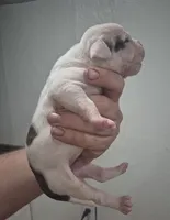 processed/779c582a-3fd3-433c-9773-a7df546de248/listing/97f1c9fd-7173-44cb-94f0-727040a173fd/15419a05-0e17-45ba-9ed0-31a1314ce33e