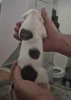 processed/779c582a-3fd3-433c-9773-a7df546de248/listing/97f1c9fd-7173-44cb-94f0-727040a173fd/acafec6f-d792-46fd-b98e-d313ccd76974