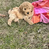 processed/77a18e2a-d640-428b-9eed-12b2fb1153e5/facility/01161217-3156-473e-93c7-708a4fb23a6e