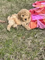 processed/77a18e2a-d640-428b-9eed-12b2fb1153e5/facility/01161217-3156-473e-93c7-708a4fb23a6e