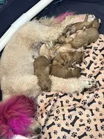 processed/77a18e2a-d640-428b-9eed-12b2fb1153e5/facility/4781bc50-76ce-4e04-936c-322cc30099f0