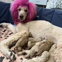 processed/77a18e2a-d640-428b-9eed-12b2fb1153e5/facility/5c4b4357-ff67-40bf-b4fa-c5996c538480