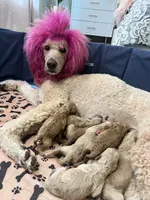 processed/77a18e2a-d640-428b-9eed-12b2fb1153e5/facility/5c4b4357-ff67-40bf-b4fa-c5996c538480