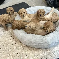 processed/77a18e2a-d640-428b-9eed-12b2fb1153e5/facility/69573a6d-6e32-4be5-9b46-f6299c13c4a2