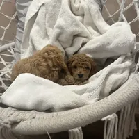 processed/77a18e2a-d640-428b-9eed-12b2fb1153e5/facility/812008f1-9b37-4820-b312-fcdd9aebdbea