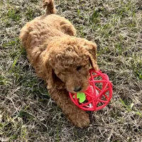 processed/77a18e2a-d640-428b-9eed-12b2fb1153e5/facility/a7aec059-12d0-4c8c-b716-64dbc93b58ee